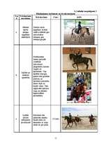 Biznesa plāns 'Jāšanas sporta bāze "Zirgu Pasaule"', 11.