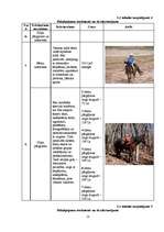 Biznesa plāns 'Jāšanas sporta bāze "Zirgu Pasaule"', 13.