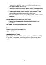 Biznesa plāns 'Jāšanas sporta bāze "Zirgu Pasaule"', 15.