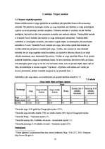 Biznesa plāns 'Jāšanas sporta bāze "Zirgu Pasaule"', 16.