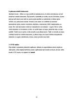 Biznesa plāns 'Jāšanas sporta bāze "Zirgu Pasaule"', 26.