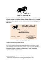 Biznesa plāns 'Jāšanas sporta bāze "Zirgu Pasaule"', 34.