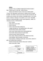 Konspekts 'Reliģijas Senajā Indijā, Senajā Ķīnā un Senajā Japānā', 2.