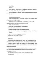 Konspekts 'Reliģijas Senajā Indijā, Senajā Ķīnā un Senajā Japānā', 4.