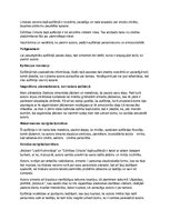 Konspekts 'Epifānijas "Tie, kuri krustojas taisnā leņķī" analīze', 2.