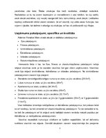 Prakses atskaite 'Prakses atskaite viesnīcā "Aldemar Paradise Mare"', 8.