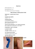 Konspekts 'Kāju un pēdu stāvokļa vērtējums', 2.
