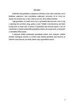 Referāts 'Profesionālās gludināšanas iekārtas', 3.