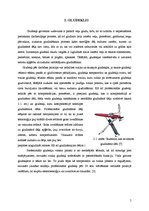 Referāts 'Profesionālās gludināšanas iekārtas', 5.