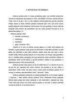 Referāts 'Profesionālās gludināšanas iekārtas', 6.