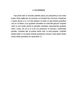 Referāts 'Profesionālās gludināšanas iekārtas', 7.