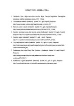 Referāts 'Profesionālās gludināšanas iekārtas', 9.