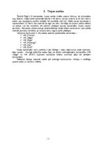 Biznesa plāns 'IU "Tiger"', 5.