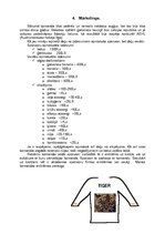 Biznesa plāns 'IU "Tiger"', 6.