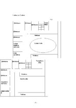 Biznesa plāns 'IU "Tiger"', 8.