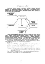 Biznesa plāns 'IU "Tiger"', 9.