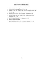 Referāts 'Mincu ģimenes lepnums - 3 dēli: Pauls, Vladimirs un Naums', 10.