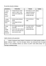 Prezentācija 'Viesnīcas „Di.Fe.” būvēšana Ventspilī', 20.