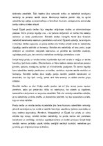 Eseja 'Paražu tiesības un pirmās rakstītās tiesības Seno Austrumu zemē', 3.