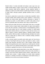 Eseja 'Paražu tiesības un pirmās rakstītās tiesības Seno Austrumu zemē', 4.