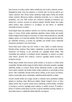 Eseja 'Paražu tiesības un pirmās rakstītās tiesības Seno Austrumu zemē', 6.