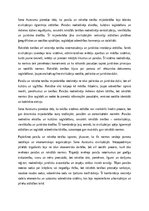 Eseja 'Paražu tiesības un pirmās rakstītās tiesības Seno Austrumu zemē', 7.