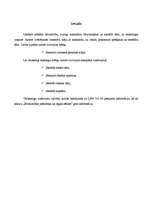 Referāts 'Tāme dzīvojamai mājai', 2.