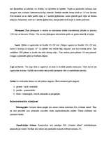 Referāts 'Tāme dzīvojamai mājai', 7.