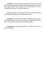 Referāts 'Tāme dzīvojamai mājai', 8.