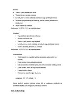 Biznesa plāns 'Biznesa plāns frizētavai', 2.