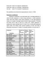 Biznesa plāns 'Biznesa plāns frizētavai', 5.