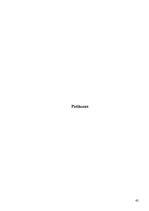 Prakses atskaite 'Karjeras konsultēšanas prakse', 42.