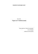 Referāts 'Kursa darbs par limfātisko masāžu', 11.