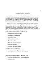 Referāts 'Kursa darbs par limfātisko masāžu', 16.