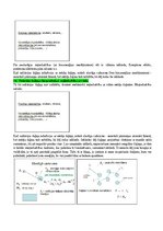 Konspekts 'Eksāmena atbildes Radiācijas terapijas tehnoloģijas', 11.