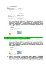 Konspekts 'Eksāmena atbildes Radiācijas terapijas tehnoloģijas', 18.