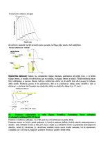 Konspekts 'Eksāmena atbildes Radiācijas terapijas tehnoloģijas', 22.
