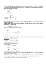 Konspekts 'Eksāmena atbildes Radiācijas terapijas tehnoloģijas', 35.