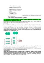 Konspekts 'Eksāmena atbildes Radiācijas terapijas tehnoloģijas', 48.