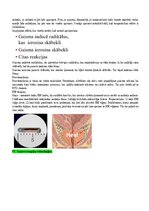 Konspekts 'Eksāmena atbildes Radiācijas terapijas tehnoloģijas', 61.