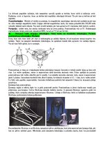 Konspekts 'Radiācijas terapijas tehnoloģijas', 51.