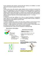 Konspekts 'Radiācijas terapijas tehnoloģijas', 56.