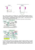 Konspekts 'Radiācijas terapijas tehnoloģijas', 80.
