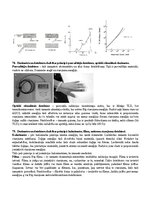 Konspekts 'Radiācijas terapijas tehnoloģijas', 87.