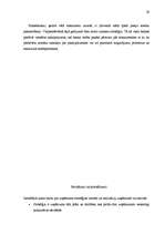 Referāts 'Stratēģijas izvēle un realizēšana AS "Hansabanka"', 29.