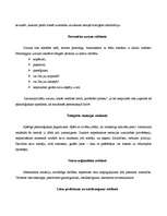 Konspekts 'Reklāma', 3.