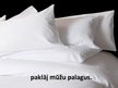 Prezentācija 'Dzejoļa prezentācija ar bildēm', 22.