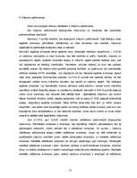 Referāts 'Krājumi, to raksturojums un sastāvs, uzskaites un novērtējuma metožu raksturojum', 11.