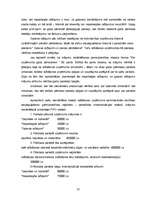 Referāts 'Krājumi, to raksturojums un sastāvs, uzskaites un novērtējuma metožu raksturojum', 24.