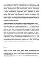 Referāts 'Latvijas ārpolitikas īstenošana', 20.